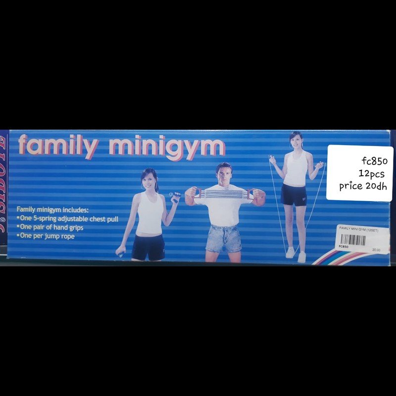 Family Mini Gym (12 SET) wholesale Dubai