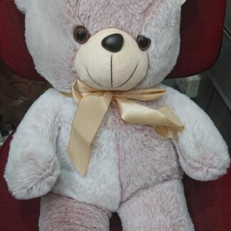 BEAR 55CM (30 PCS)