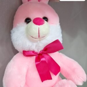 25CM RABBIT (120 PCS)