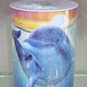 15*21.5CM COIN BOX (24 PCS)