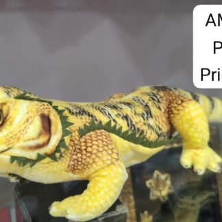 48CM LIZARD(120 PCS)