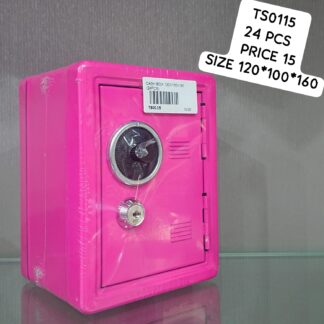 CASH BOX 120X100X160 (24PCS)
